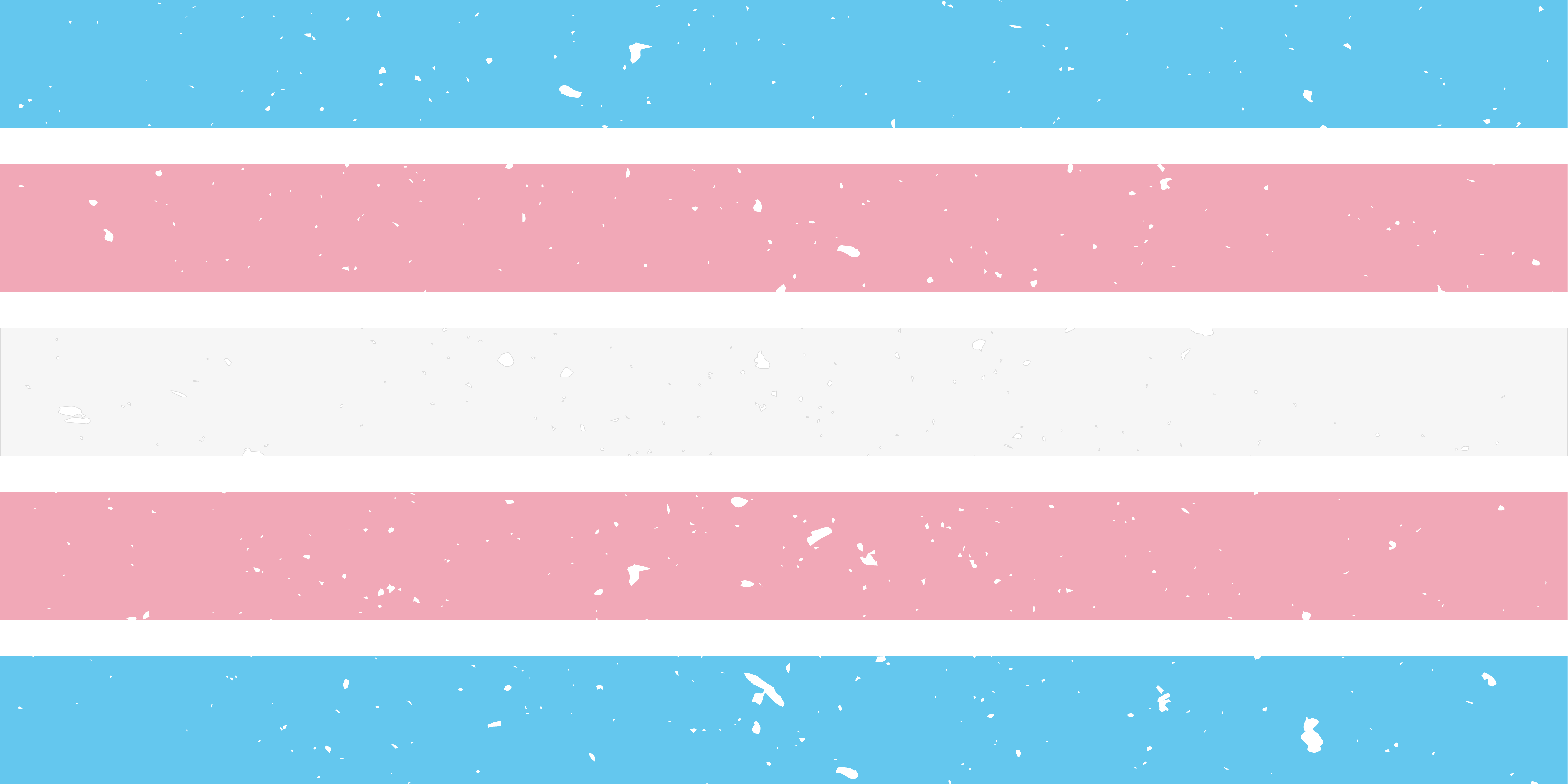 Trans Collection – Flag